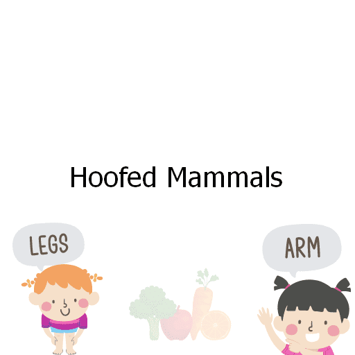 Hoofed Mammals